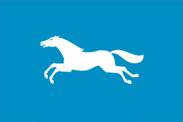 Flag of Barnaul