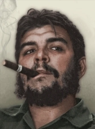 elfbar nachfüll pod läuft aus Ernesto Che Guevara Vector Caricature Portrait: vetor stock (livre de  direitos) 1387486706 main image 1