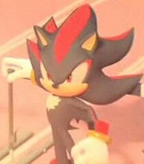 Shadow the Hedgehog, The New Parody Wiki