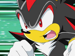 Shadow the Hedgehog, The New Parody Wiki