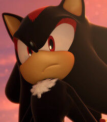 Shadow the Hedgehog, The New Parody Wiki