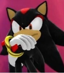 Shadow the Hedgehog, The New Parody Wiki