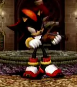 Shadow the Hedgehog, The New Parody Wiki