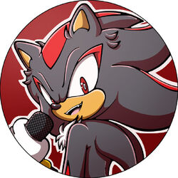 Shadow the Hedgehog, The New Parody Wiki
