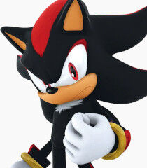 Shadow the Hedgehog, The New Parody Wiki