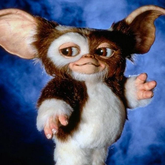 Gizmo | The New Parody Wiki | Fandom