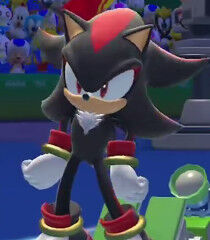 Shadow the Hedgehog, The New Parody Wiki