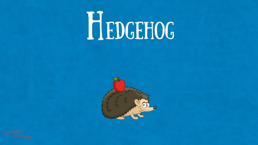 Hedgehog 🦔 (Bonny Wondy) | The New Parody Wiki | Fandom