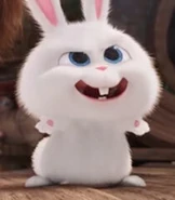 Snowball as Francis