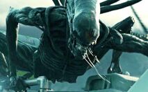 Xenomorph XX121 from Alien: Covenant