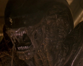 Dragon from Alien 3