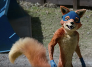 Swiper the Fox from Dora and the Lost City of Gold