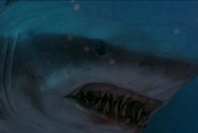 The Mako Shark from Deep Blue Sea