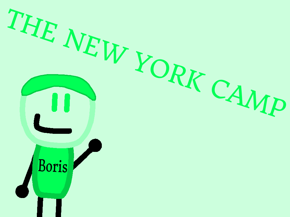 new york camp