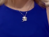 Emily's necklace