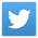 Twitter Icon