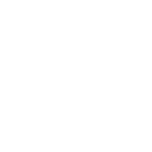 THE FOUNDATION OFFICIAL WIKI