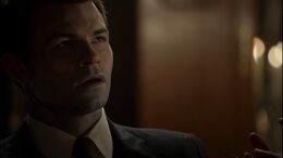 Elijah Mikaelson, Wikia Assista séries