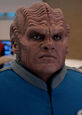 Bortus