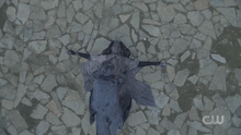 313 SC79.png