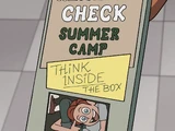 Reality Check Summer Camp
