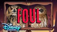 Episode 6 Look Hooo's Talking The Owl House Disney Channel