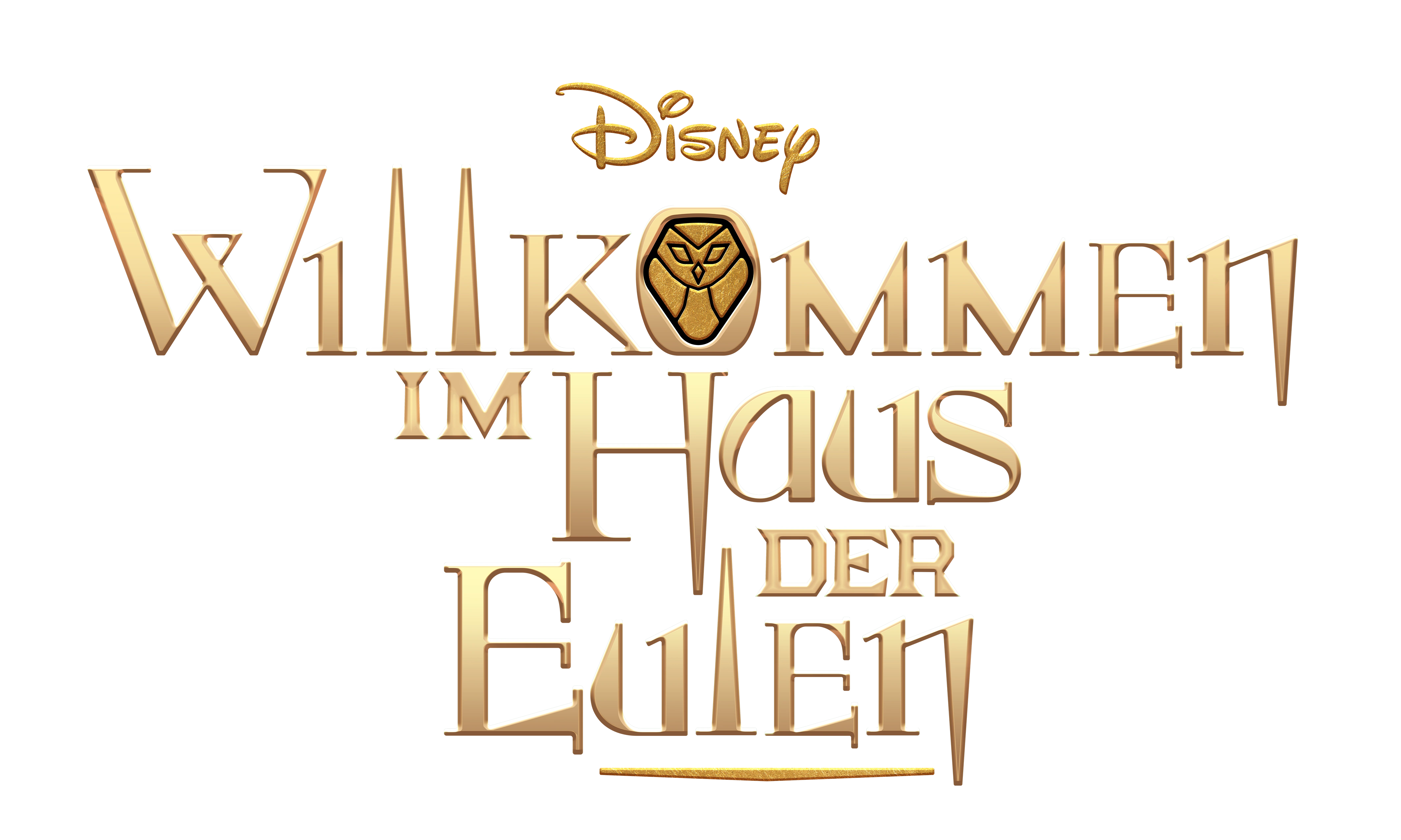 Willkommen im Haus der Eulen The Owl House Wiki Fandom