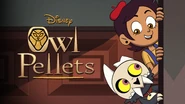 OwlPelletsPoster2.png (9.84 MB)
