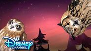 Episode 4 Look Hooo's Talking The Owl House Disney Channel