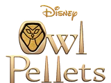 Owl Pellets