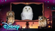 Episode 2 Look Hooo's Talking The Owl House Disney Channel