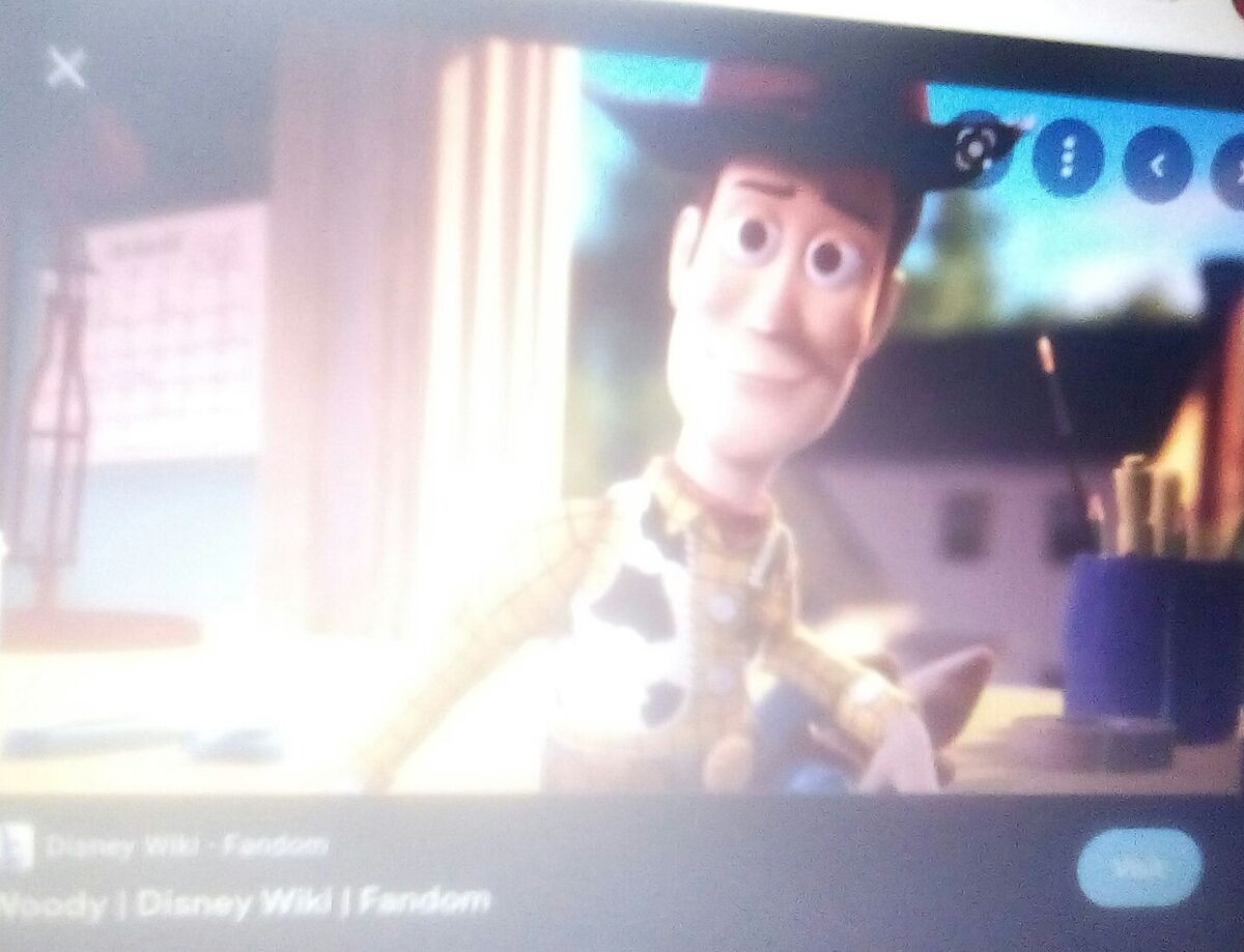 Woody, Disney Wiki