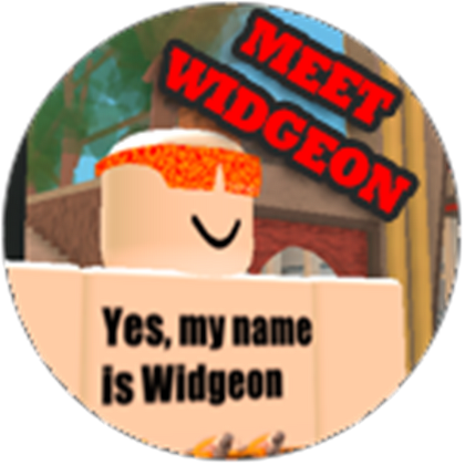 Widgeon The Plaza Wikia Fandom - how to fly an airplane in roblox plaza