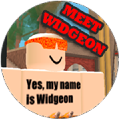 Widgeon The Plaza Wikia Fandom - how to fly airx in roblox