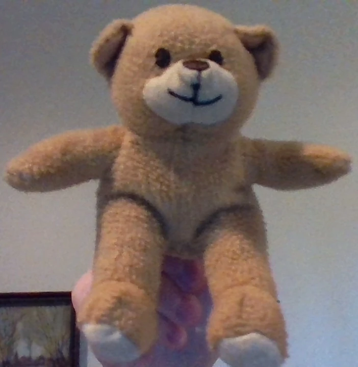 Beary Jr The Plushy Show Wiki Fandom