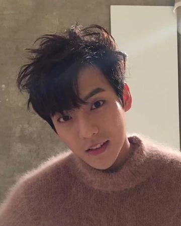 Minhyuk Btob The Potters Wiki Fandom