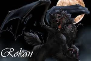 Rokan | The Power of Four Wiki | Fandom
