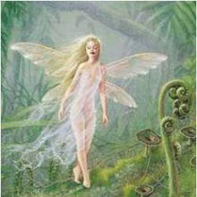 Queen Mab The Princess Wikia Fandom A 2013 cochrane review concluded that most. queen mab the princess wikia fandom