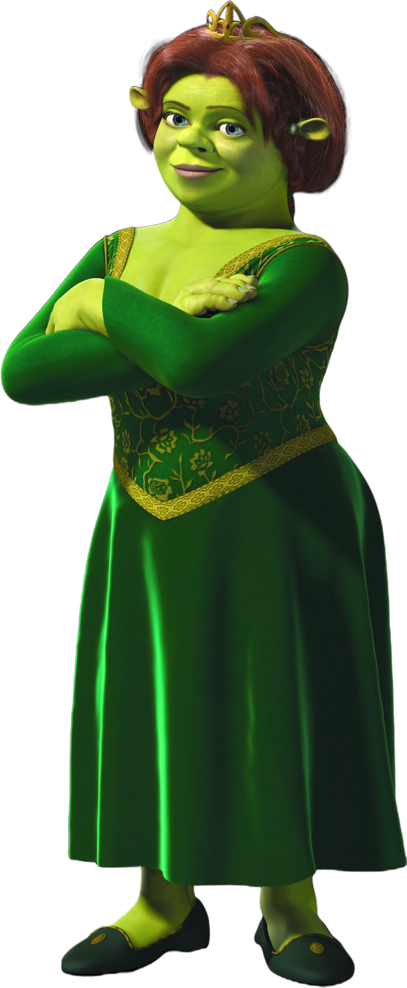 Shrek PNG - Free Download  Shrek, Shrek character, Princess fiona