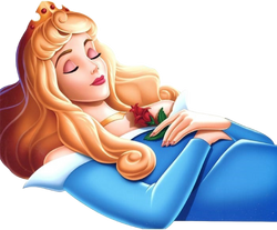 SleepingAurora2008