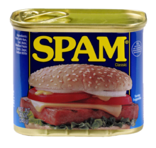 Students sample SPAM® products - Meat Science