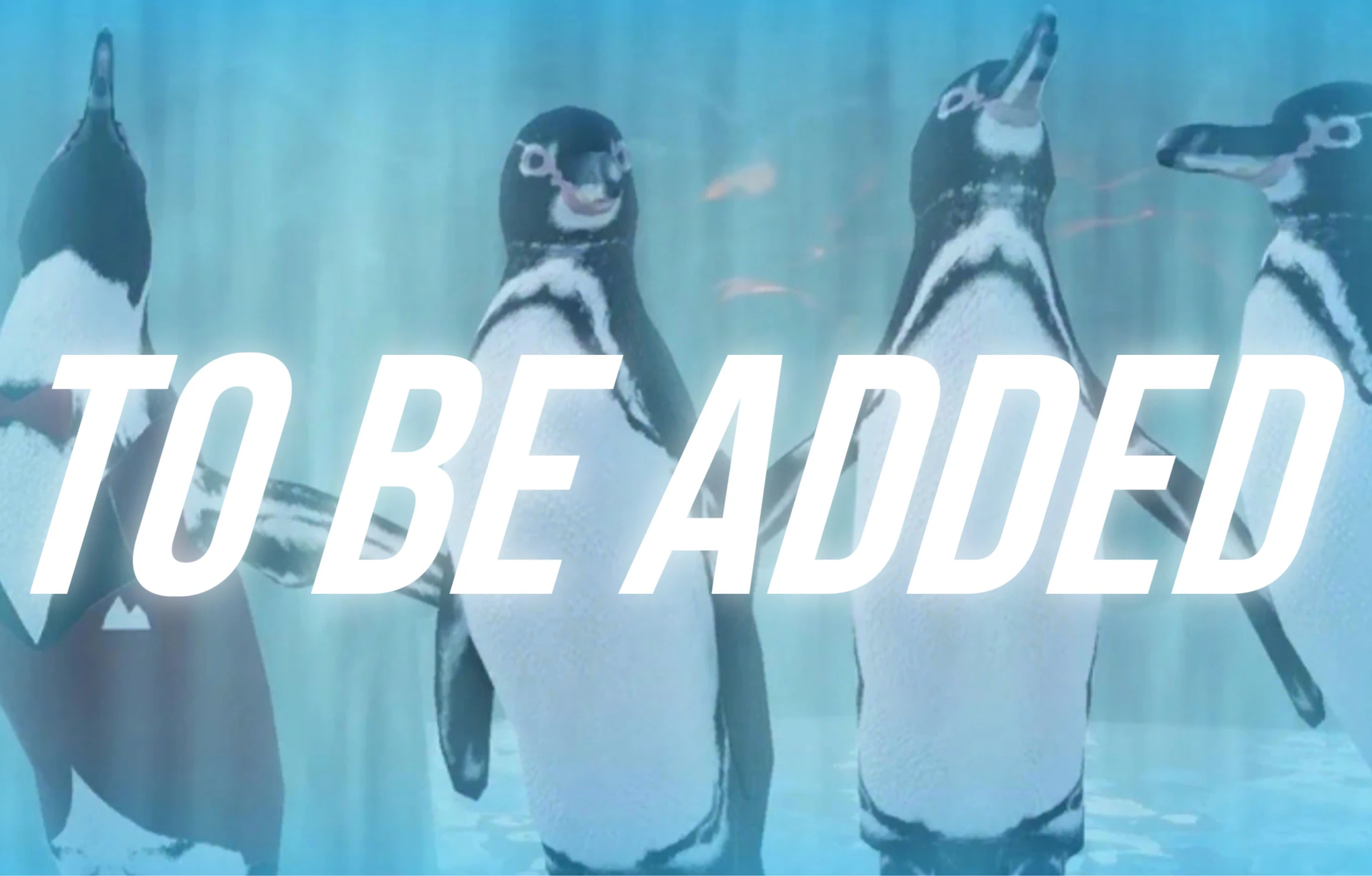 ゲームキャラクター reef エブリデイ Z/X Life!