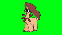 Bayleaf 5.jpg