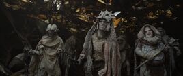 Orcs