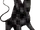 Two-Headed Black Dog