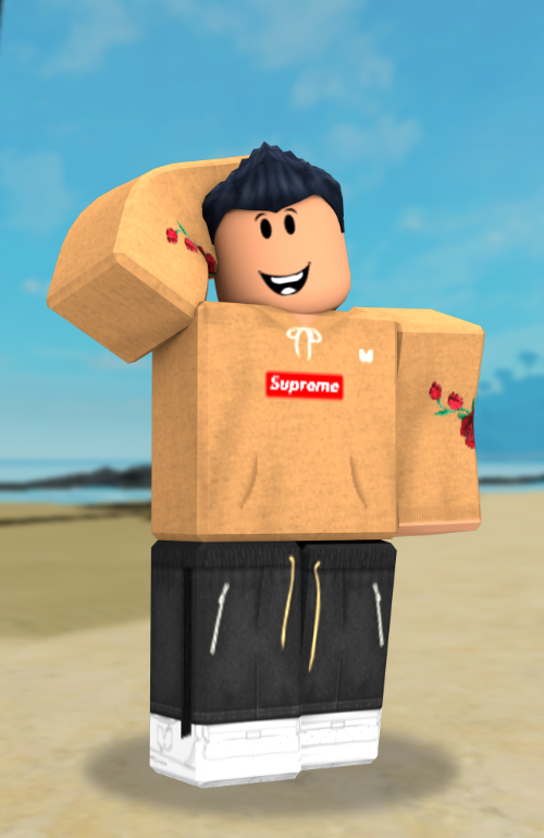 Iitypical Asian The Roblox Reality Wiki Fandom - supreme packet roblox