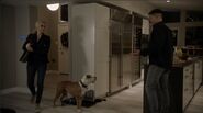 4x10