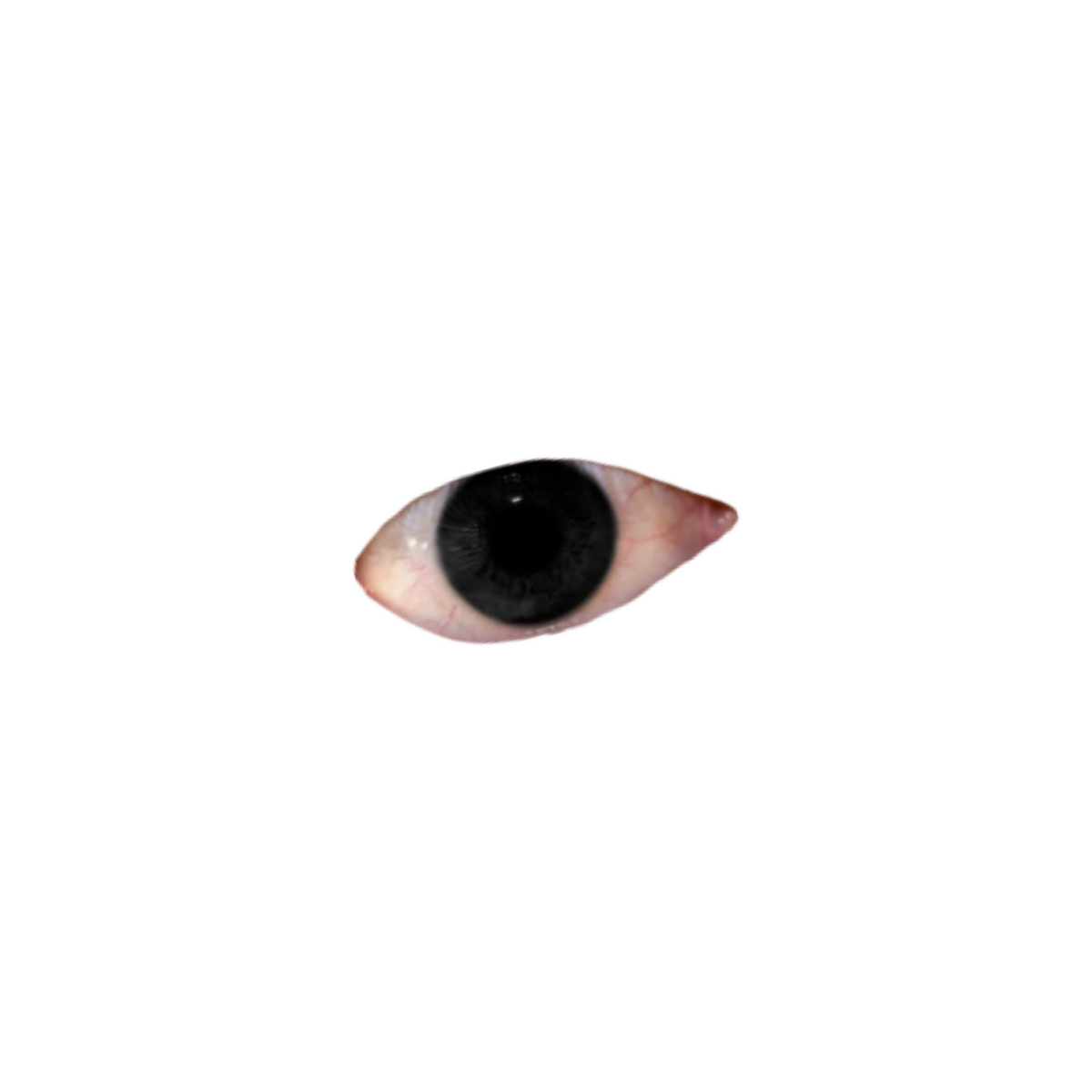 weirdcore eye}