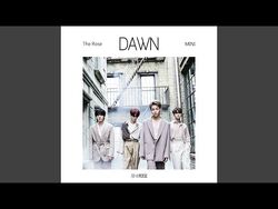 Dawn | The Rose Wiki | Fandom