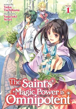 The Saint's Magic Power is Omnipotent (Light Novel) Vol. 8 by Yuka  Tachibana: 9781638588849